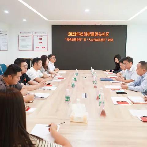 松岗街道碧头社区开展“党代表接待周”暨“人大代表进社区”活动