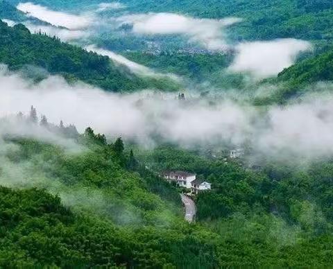 造林绿化 为乡村振兴打亮生态文明底色