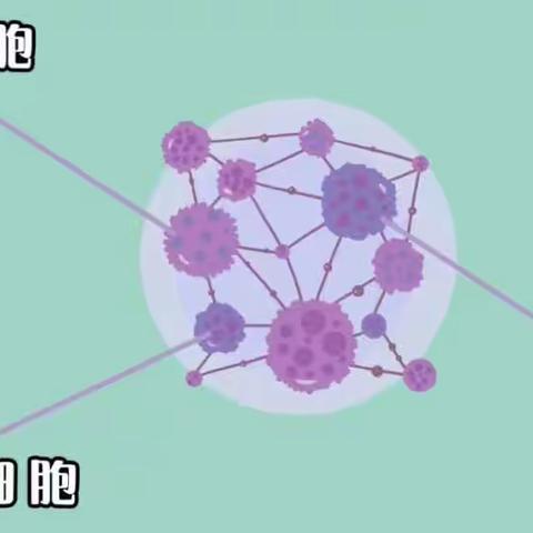 新技术科学助力临床输血管理