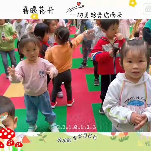 金城幼儿园小二班第十一周精彩回顾