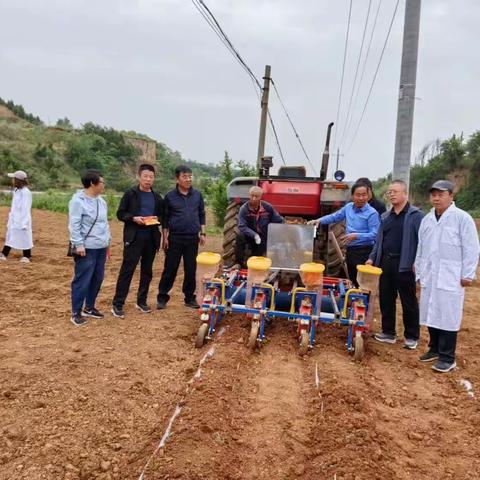 山西农业大学谷子研究所一行人深入沁县沁谷香农业开发有限公司基地指导种植长生15新品种