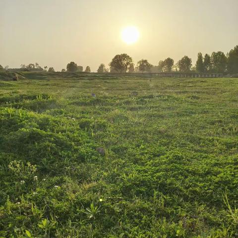 “读万卷书，行万里路” ﻿——双河中心小学研学旅行活动