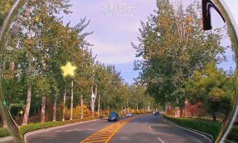 遇见自然，幼见落叶🍂——梅园社区幼儿园2023秋游记🍁