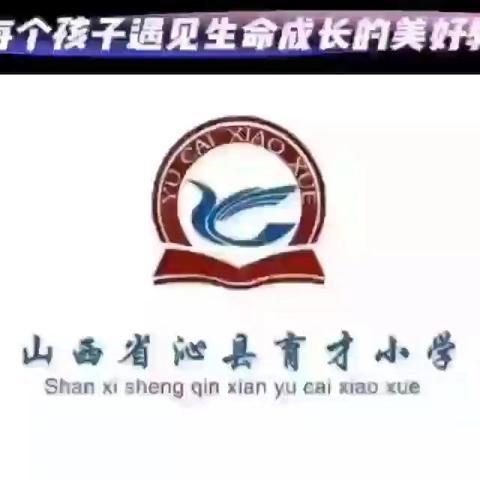 共学之花绽新姿，展学聚力向未来——沁县育才小学"小组合作共学"第二阶段"展学"测评活动纪实
