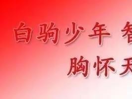 “集思广益，共同成长”——海南白驹学校2022-2023学年度第二学期数学组第10周集体备课活动