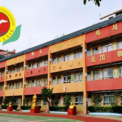 深圳市坪山区兴华小学第十一周工作要闻