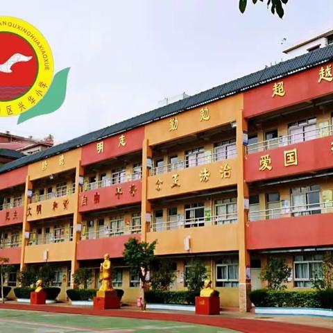 深圳市坪山区兴华小学第十五周工作简报