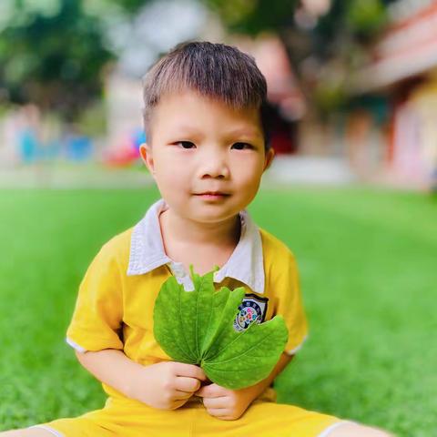 记录📝幼儿园快乐生活🌹🌈——芽芽2班