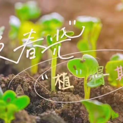 🌱不负春光“植”得期待 ——绿茵贝贝幼儿园中班组植物角观察记录篇