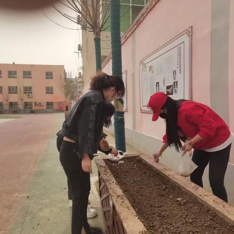 小小的花圃小小的天地，小小的成长美好的回忆。