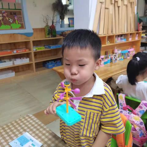 东站百禾幼儿园2022秋季科学课堂精彩汇集