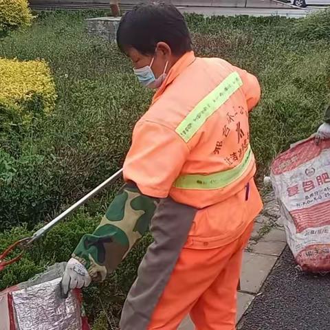 《邢台项目十三部综合整治白色垃圾》