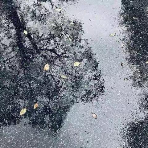 送教上门，送爱上门——华州区特殊教育学校（朝阳学校）塬上组送教上门纪实