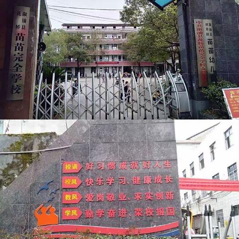 疑心聚力 ，追梦启航 ———[清廉学校]花桥苗苗完全学校第十一周工作总结