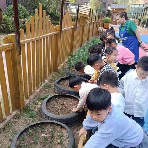 🌈爱上幼儿园，快乐“美”一天🥰御景城幼儿园中一班本周精彩瞬间✨