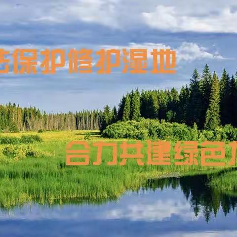 新林林业局宏图林场开展2023年“湿地保护宣传月”和“黑龙江湿地日”宣传活动