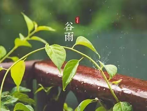 劳动创造美好生活——青塔乡陈王庄小学谷雨节劳动课