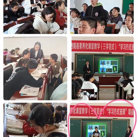 立足三学范式，深化课堂教学——泗阳县素养化课堂（三学范式）学习方式选择项目专题研讨会侧记