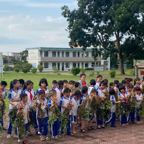 【仙沟思源】粒粒花生情 浓浓丰收乐——记仙沟思源实验学校仙屯校区第40期田园课程活动简记