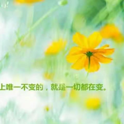 「华蒙儒童」托大三班一周精彩视频花絮