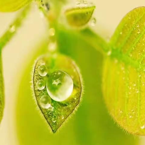 「华蒙儒童」托大三班一周精彩视频花絮