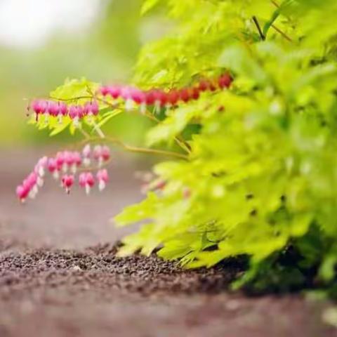 「华蒙儒童」托大三班一周精彩视频花絮