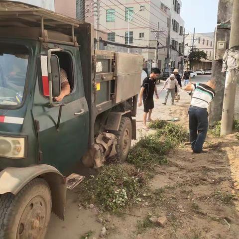 长德村开展人居环境爱国卫生运动