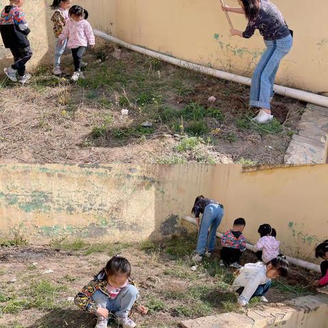 品满园春色，享播种之乐――王仓幼儿园“五一”劳动节播种主题活动