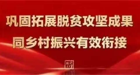 县供销社机关党支部 庄则上村党支部“党建引领聚合力 巩固衔接当先锋”主题党日活动