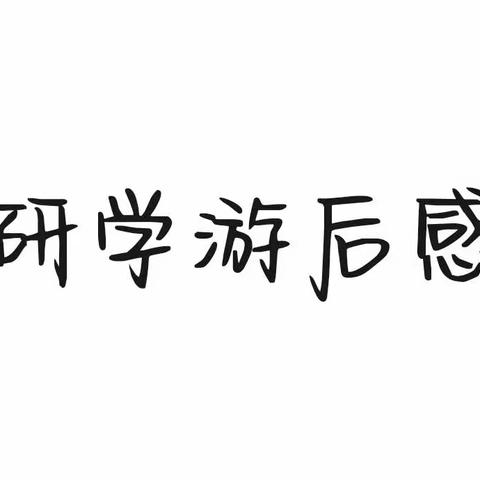 研学游后感