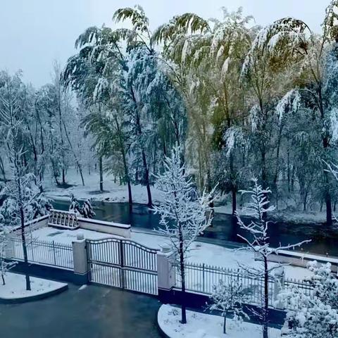 暴风雨雪里的一束光