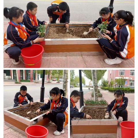 【梁才中心学校】谷雨——种植希望的季节