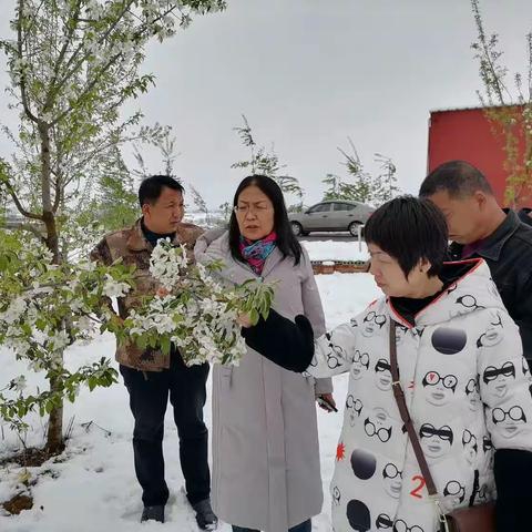 抗击雨雪冰冻灾害     护航农业春耕生产