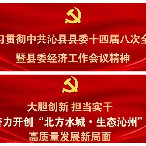 扎实摸底打好城市更新基础     “五务”融合党群提档升级— 定昌镇3月11日工作动态