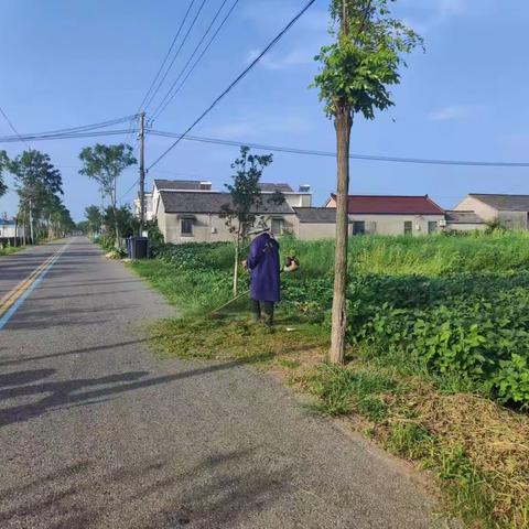 湖滨村持续开展环境整治，清除杂草