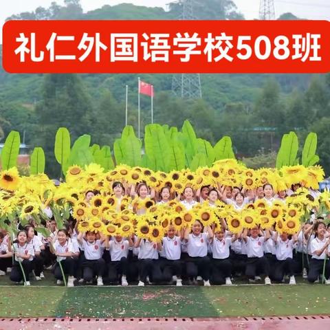 成长先行--点滴做起 礼仁外国语学校小学508班第十一周德育实践作业：做力及所能的家务活