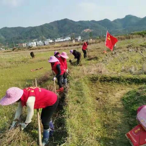〔盘古山镇和平村文明实践站〕开展“清理河道美丽家园”活动