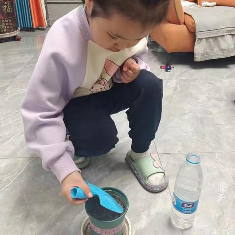 玉门五幼的美篇