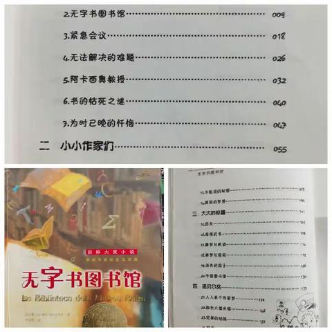 无字书图书馆共读总结