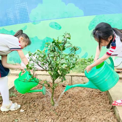 汗水浇灌理想，劳动铸就品格——甘棠镇中心学校南校区劳动基地里见思政