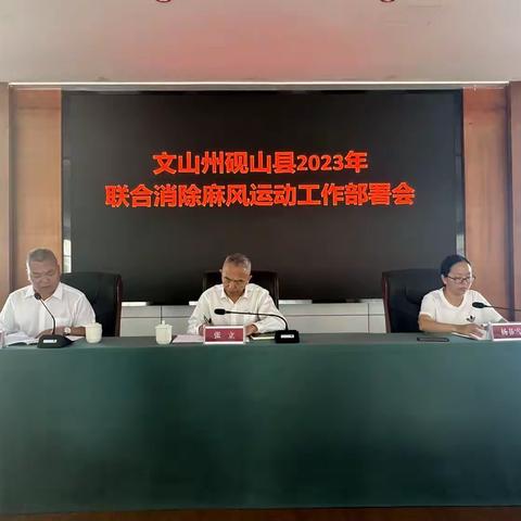 党建引领促消麻  凝心聚力谱新篇——砚山县联合消除麻风运动进行时（4月23日记）