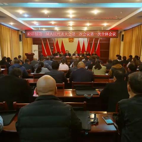 偃师区府店镇第二届人民代表大会第二次会议胜利召开！