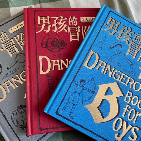 “霖阅慧”读《男孩的冒险书》有感——白山小学四年二班李彦霖第十期家庭读书分享