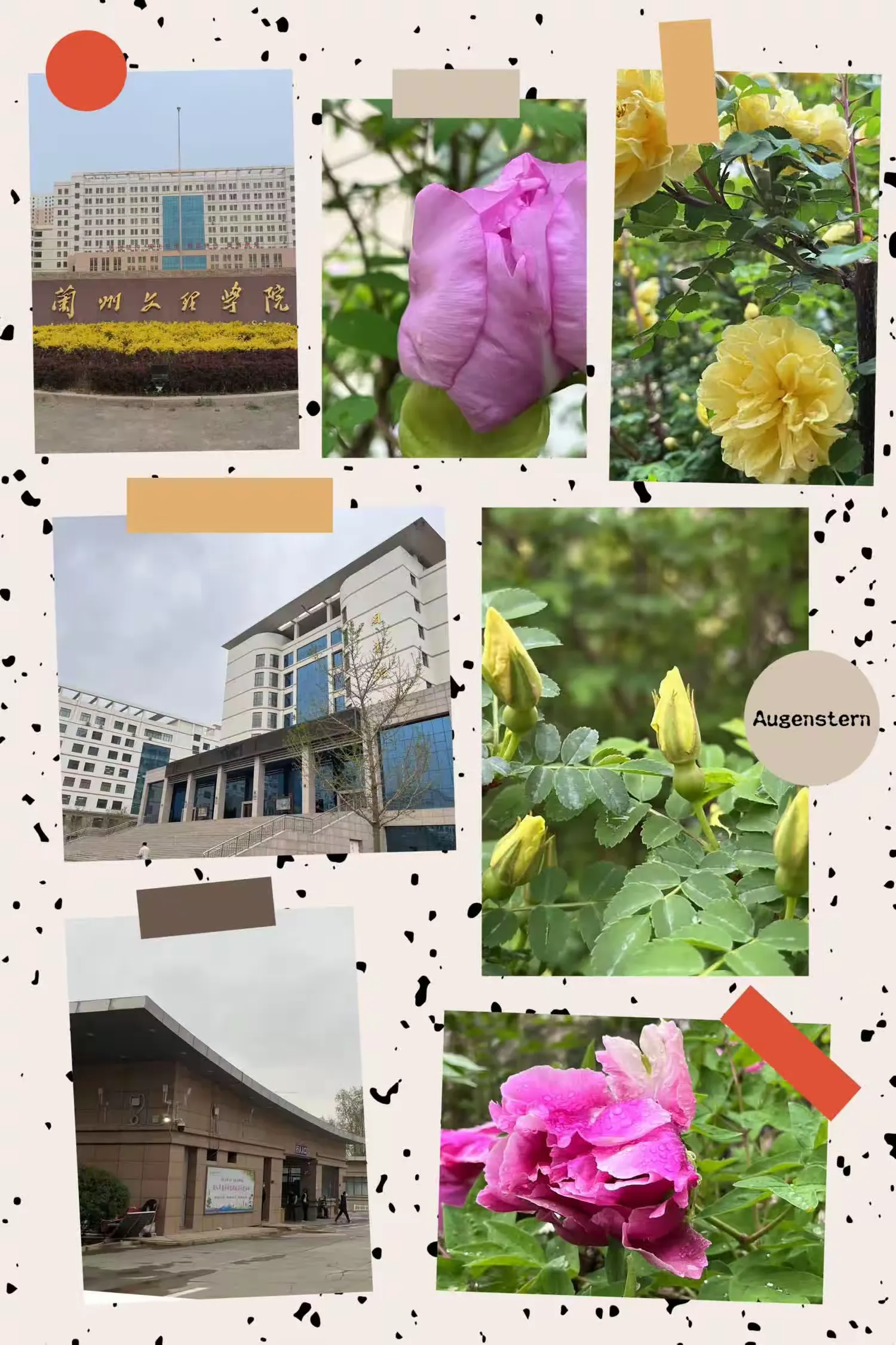 简篇-操千曲而后晓声 观千剑而后识器 —“国培计划(2022)”甘肃省省级农村骨干教师能力提升项…(副本)