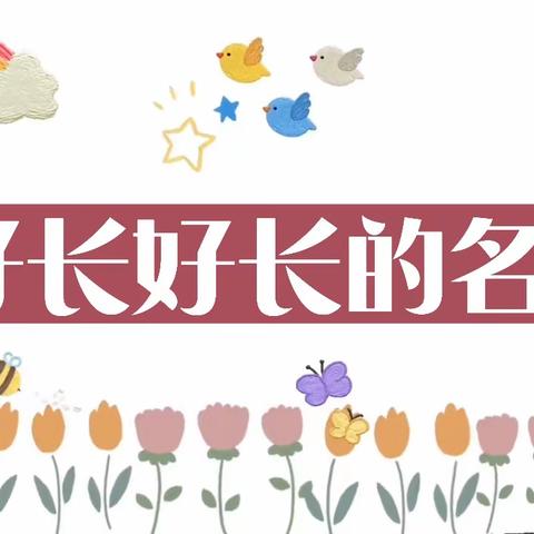 大二班《好长好长的名字》