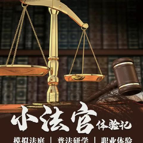 知法守法促成长 ——城西第五小学开展“红领巾模拟法庭办案”活动