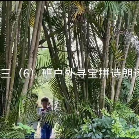 书香绽芳华，诗韵沁人心