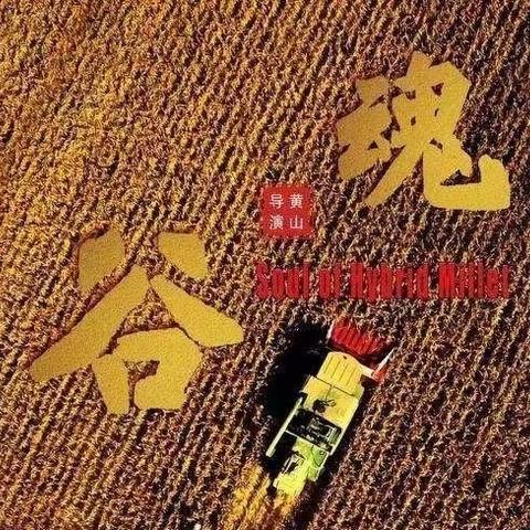 【石家庄市第一幼儿园党支部】弘扬科学精神 汲取奋进力量——石家庄市第一幼儿园党员观看教育影片《谷魂》