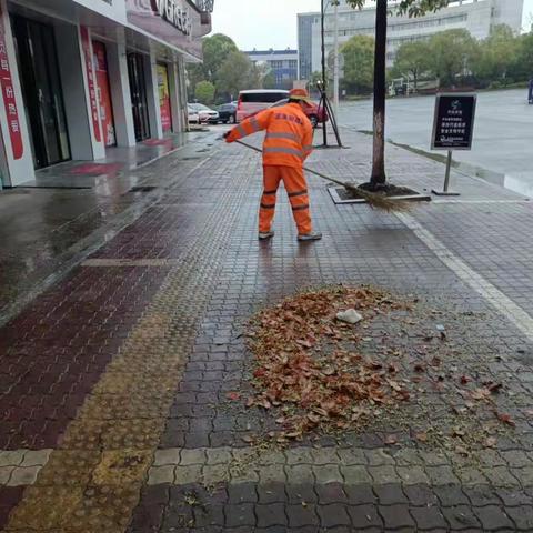 【株洲玉禾田】 雨后落叶飘 环卫忙清扫