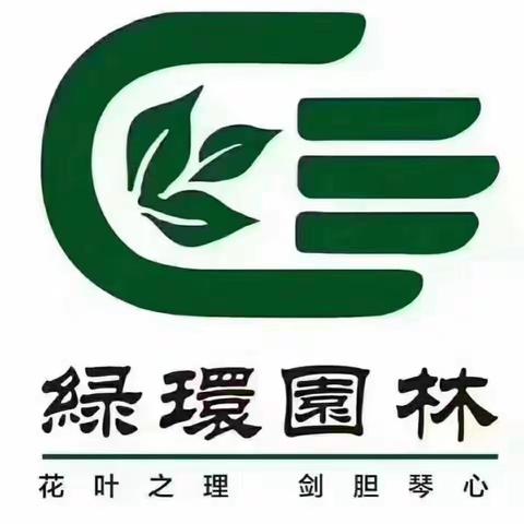 东塔公园月季园花后修剪专项培训